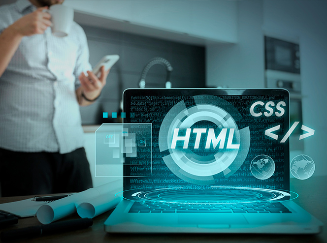 Custom ASP.NET MVC Development